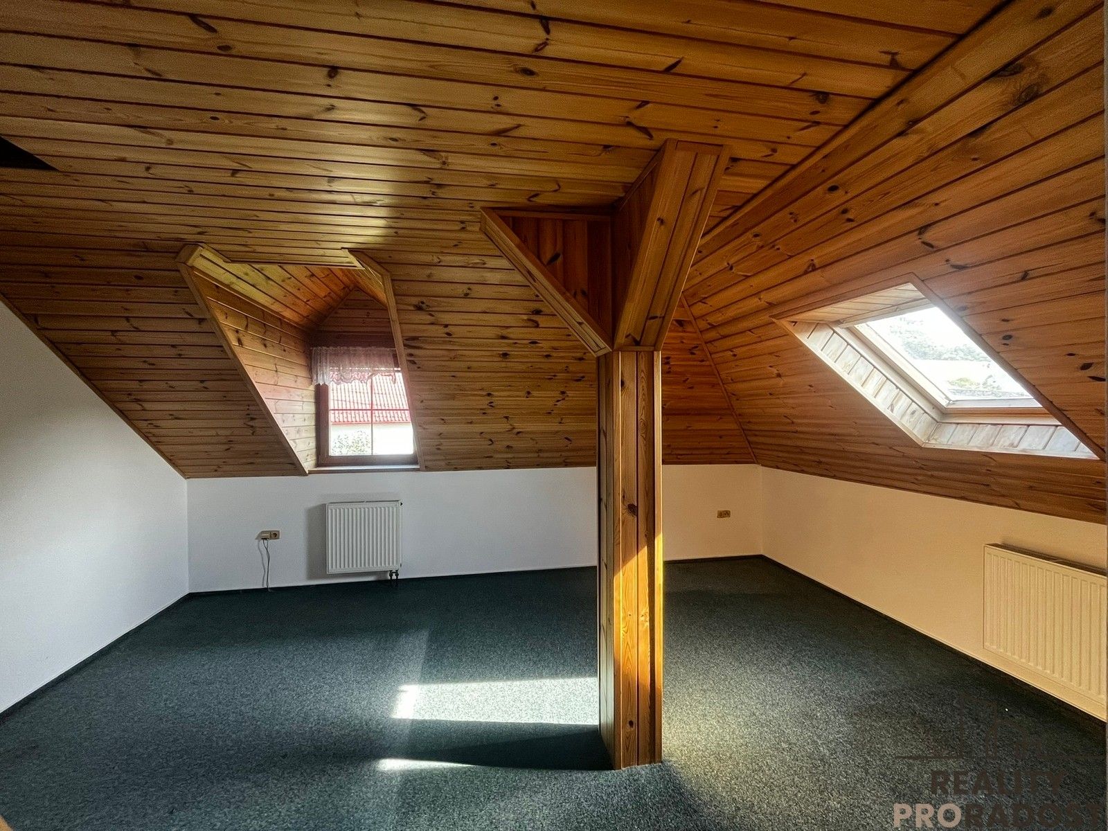 Prodej nemovitosti 350 m² - foto 1