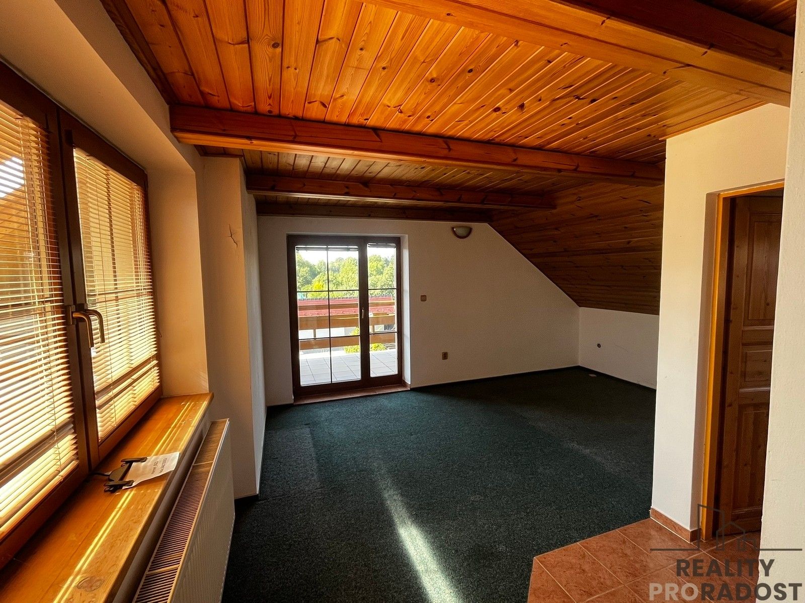 Prodej nemovitosti 350 m² - foto 6