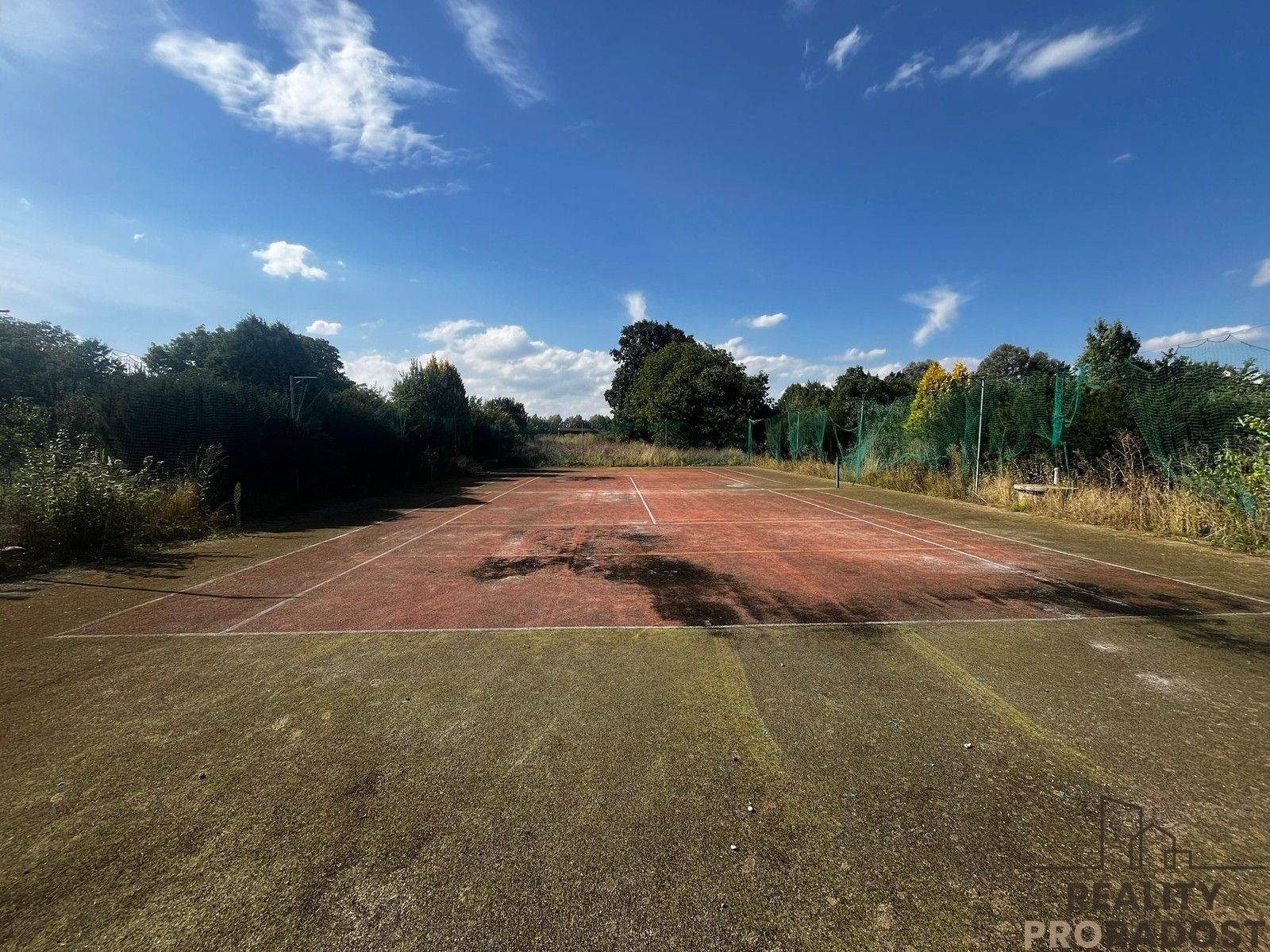 Prodej nemovitosti 350 m² - foto 4