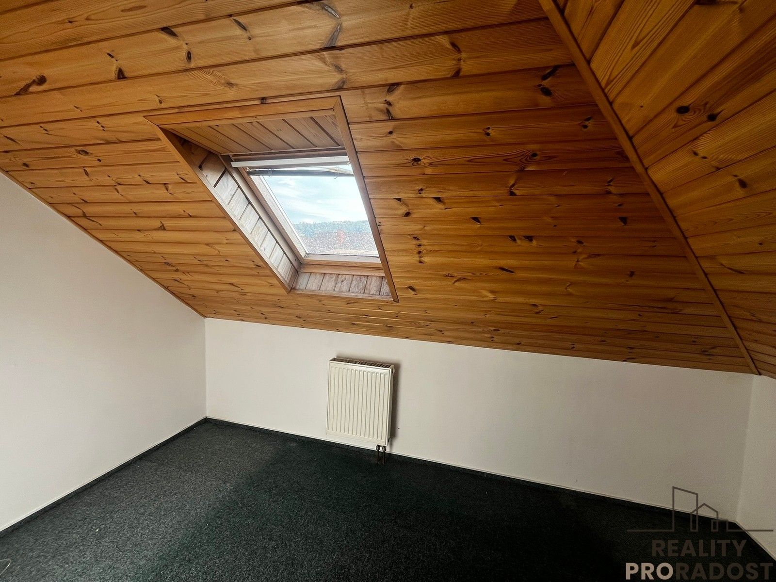 Prodej nemovitosti 350 m² - foto 10