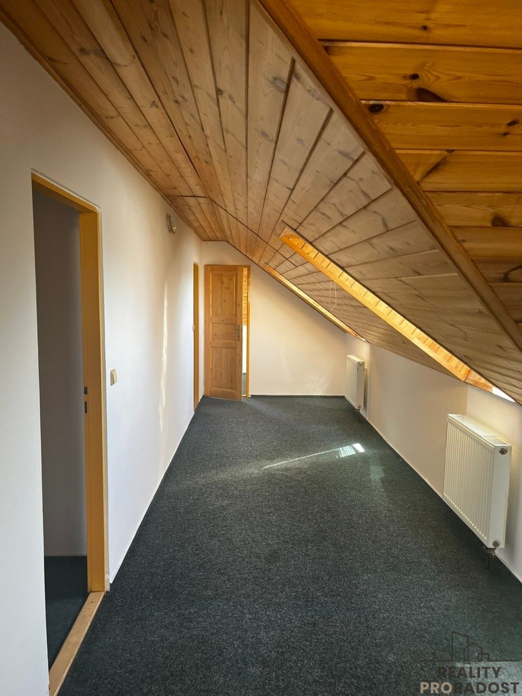Prodej nemovitosti 350 m² - foto 11