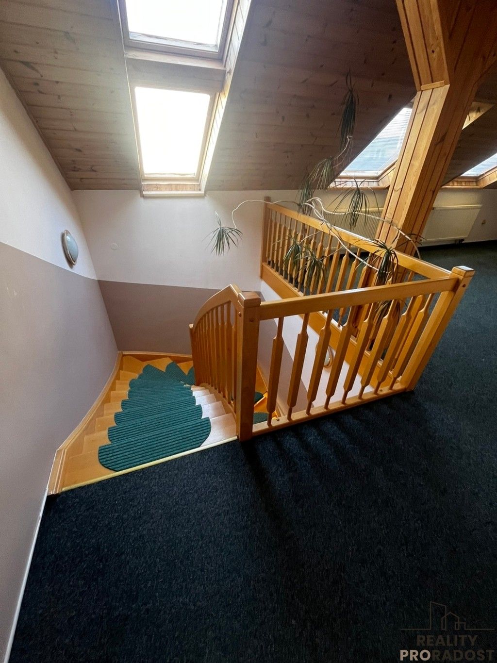 Prodej nemovitosti 350 m² - foto 17