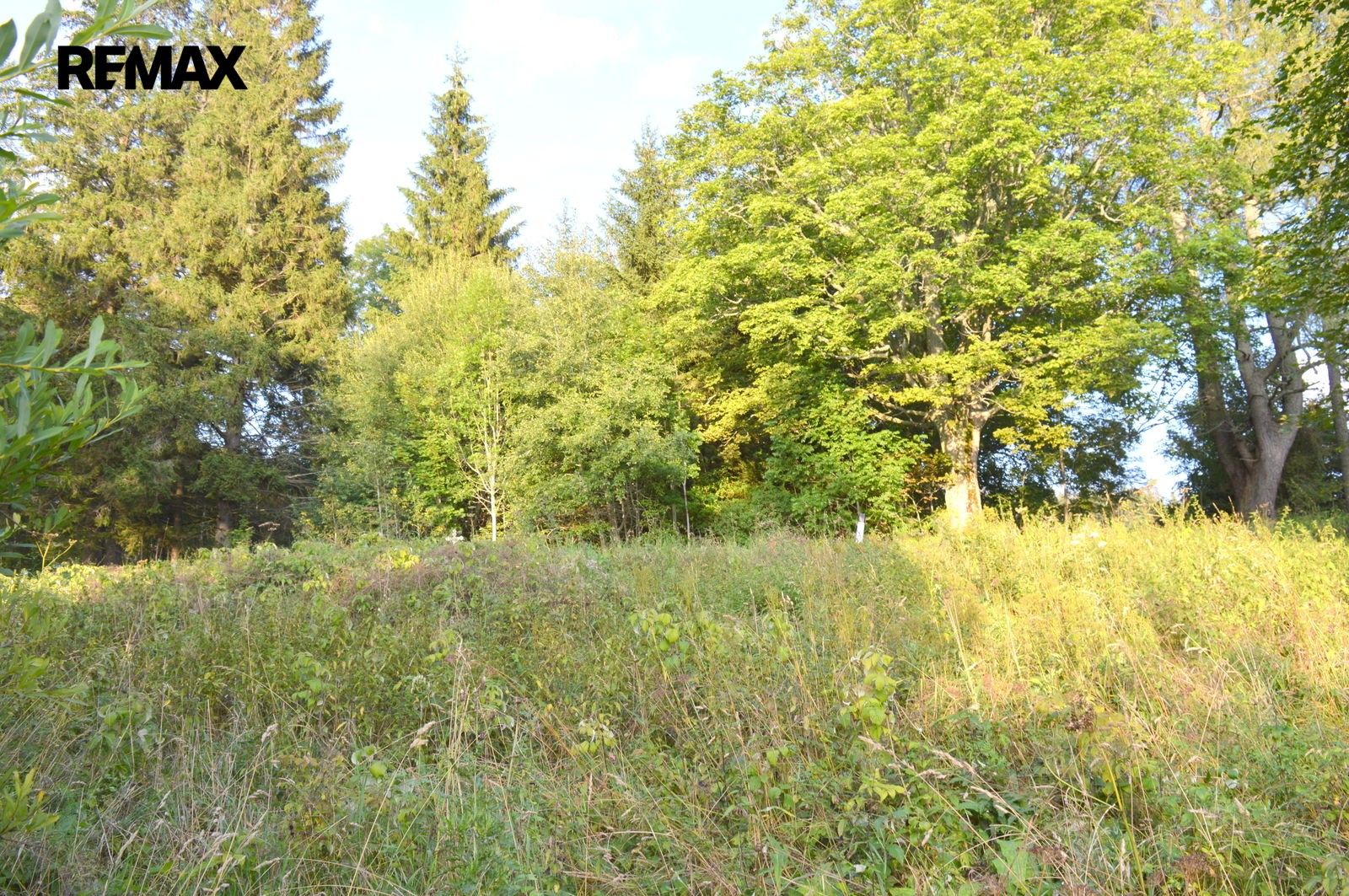Prodej nemovitosti 8040 m² - foto 3