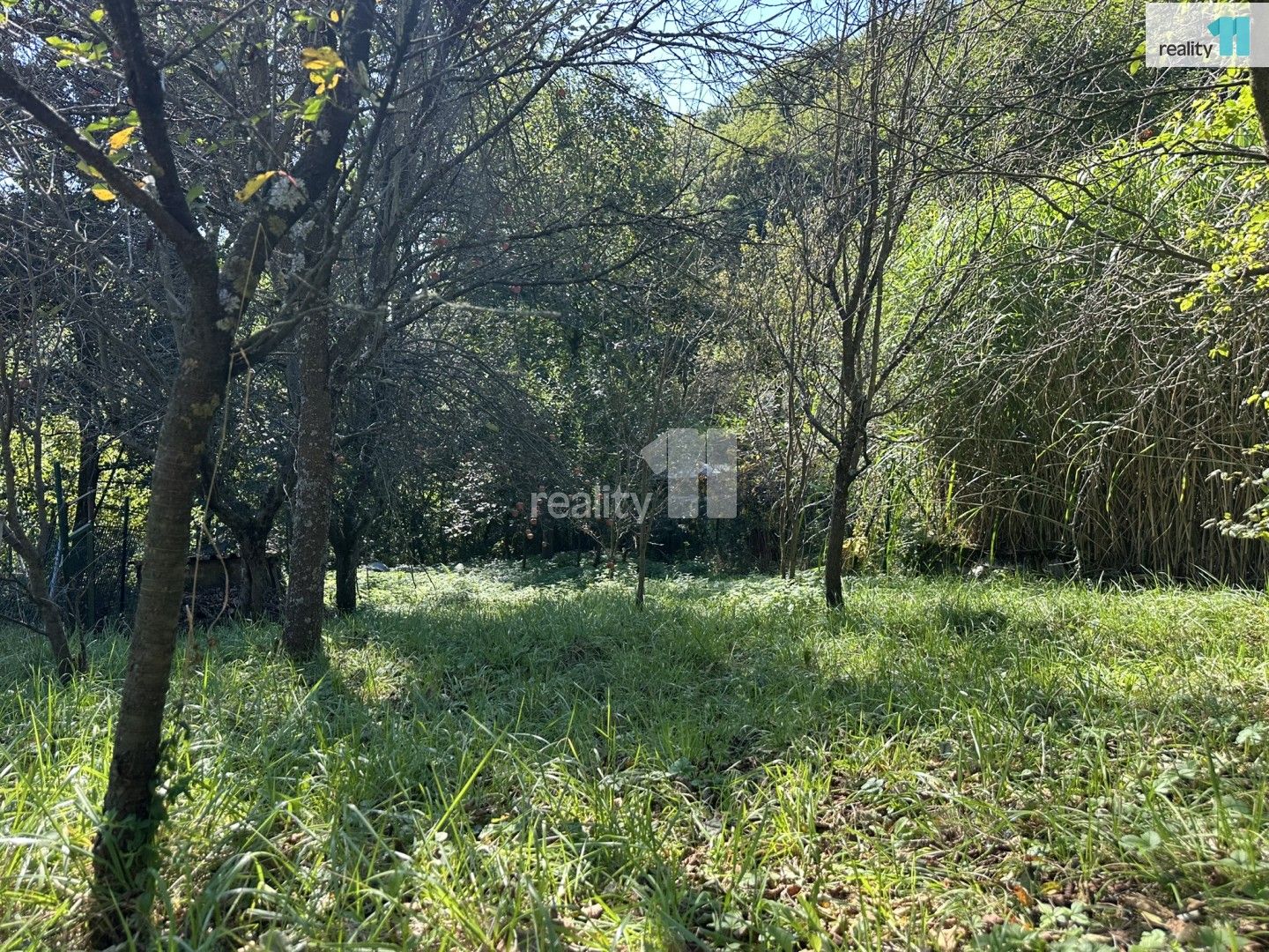Prodej domu 18 m² - foto 10