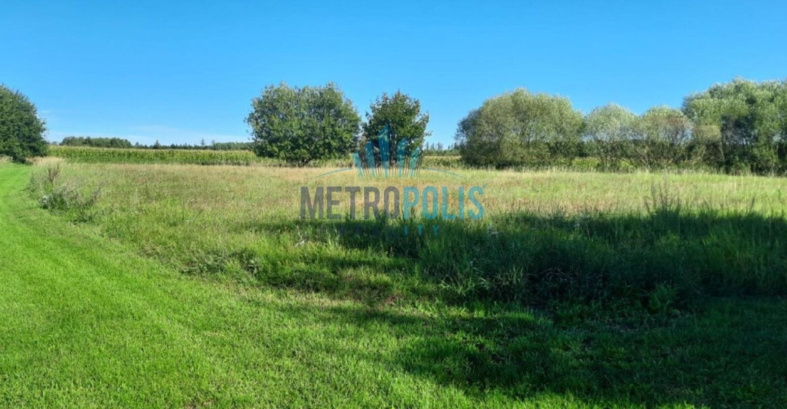 Prodej pozemku 4016 m² - foto 4