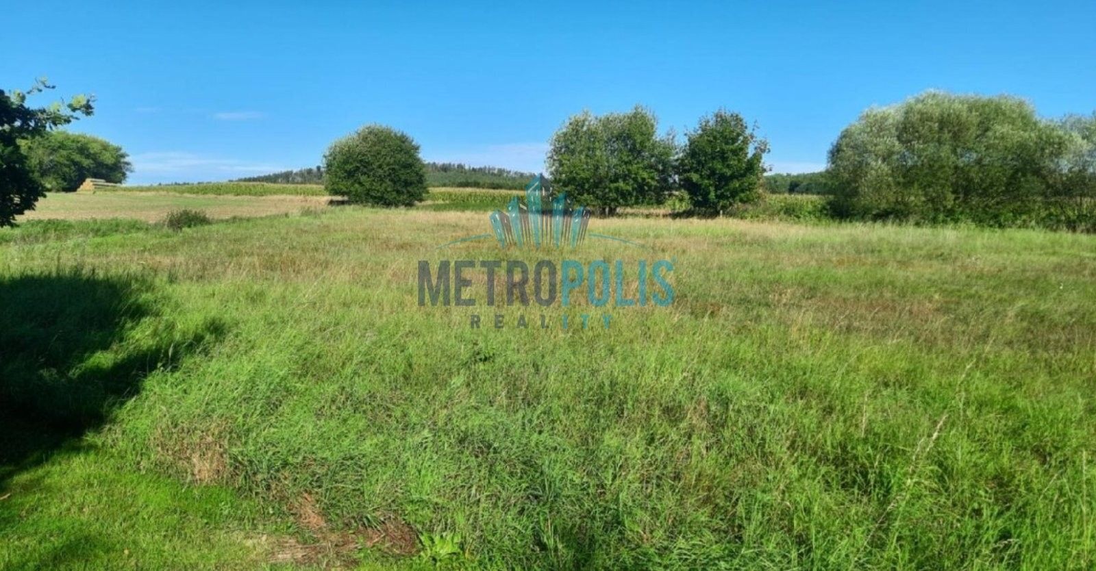 Prodej pozemku 4016 m² - foto 5