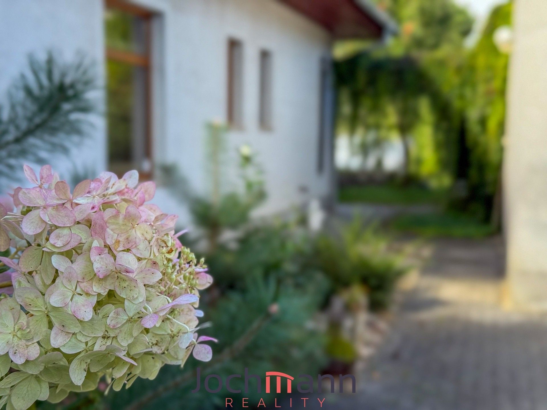 Prodej domu 320 m² - foto 4