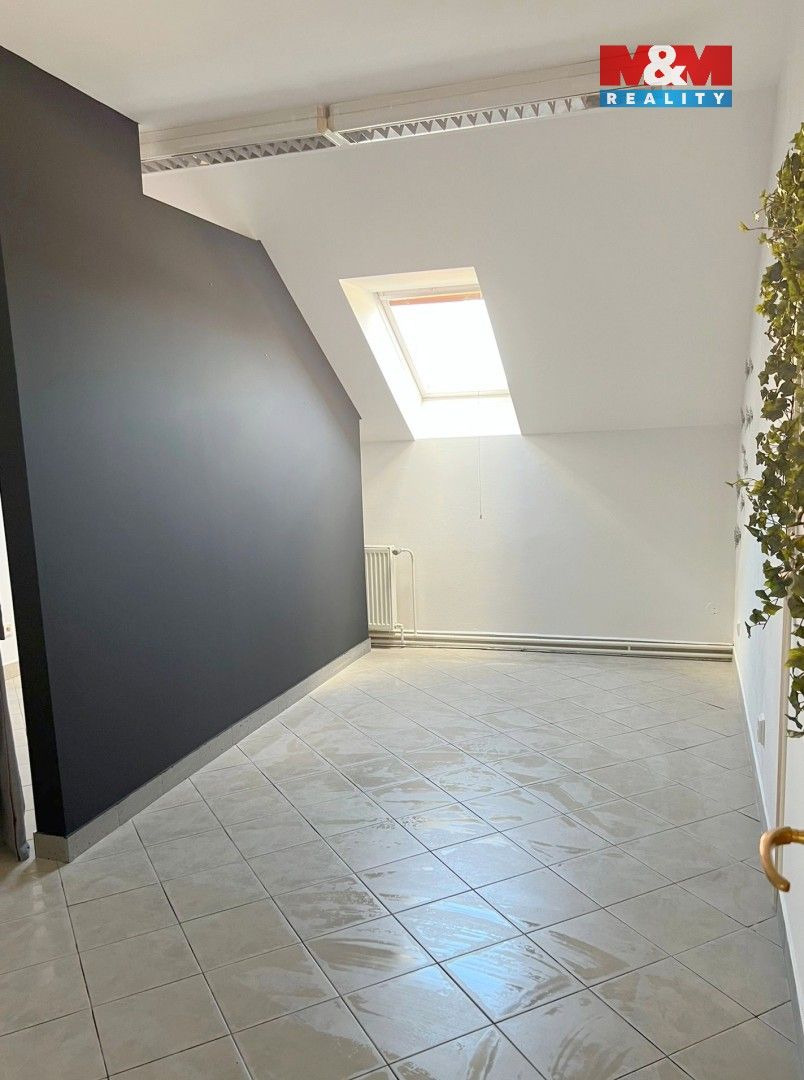 Pronájem komerčního prostoru 24 m² - foto 8