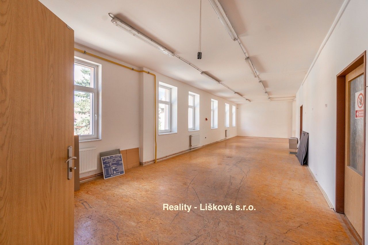 Pronájem komerčního prostoru 261 m² - foto 13