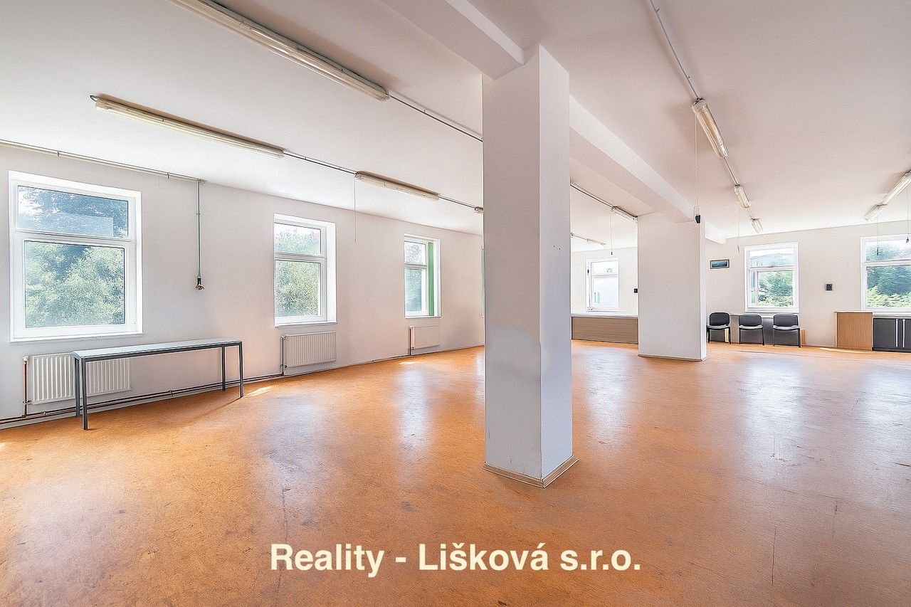 Pronájem komerčního prostoru 261 m² - foto 11