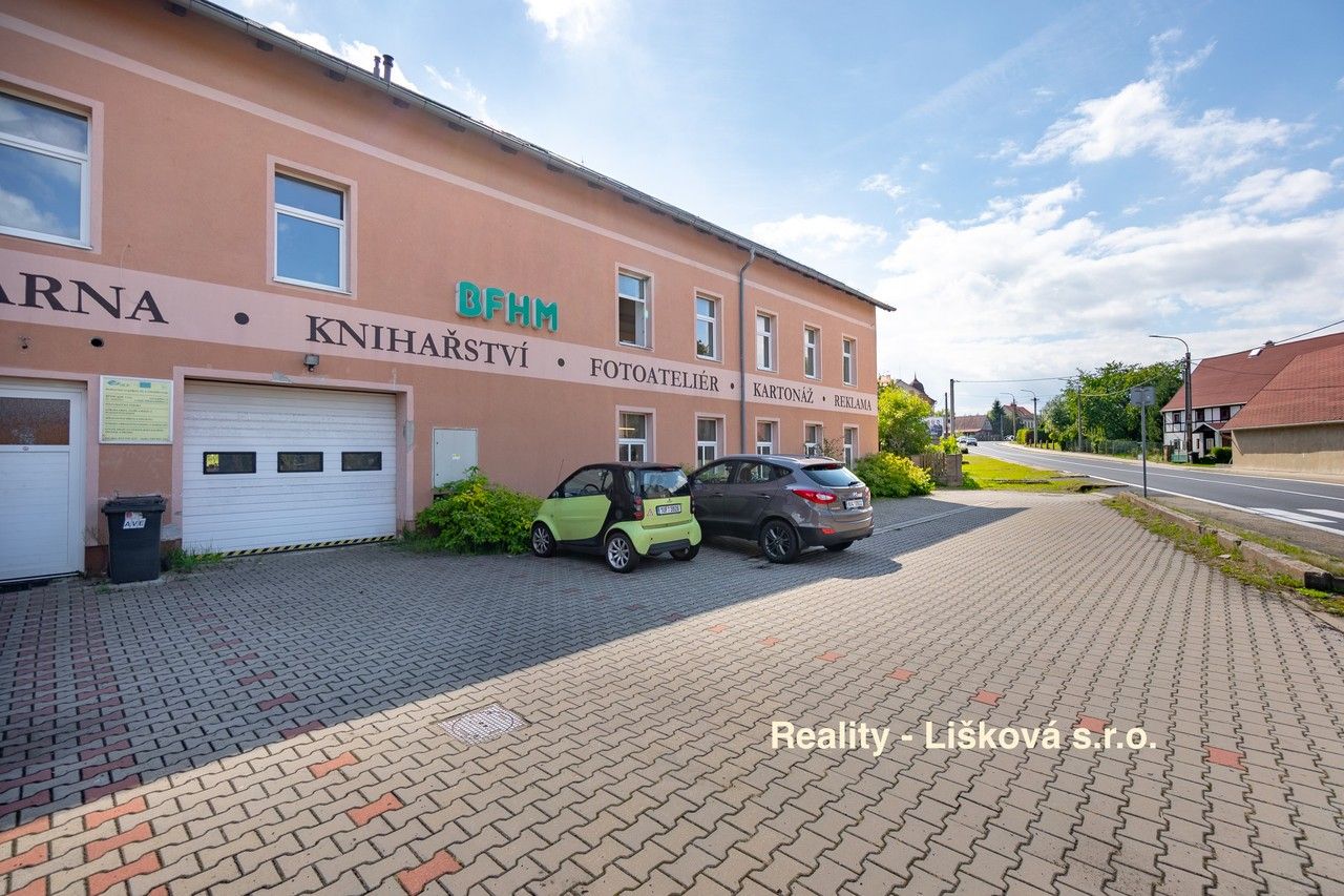 Pronájem komerčního prostoru 261 m² - foto 10