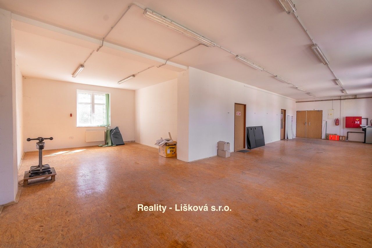 Pronájem komerčního prostoru 261 m² - foto 15