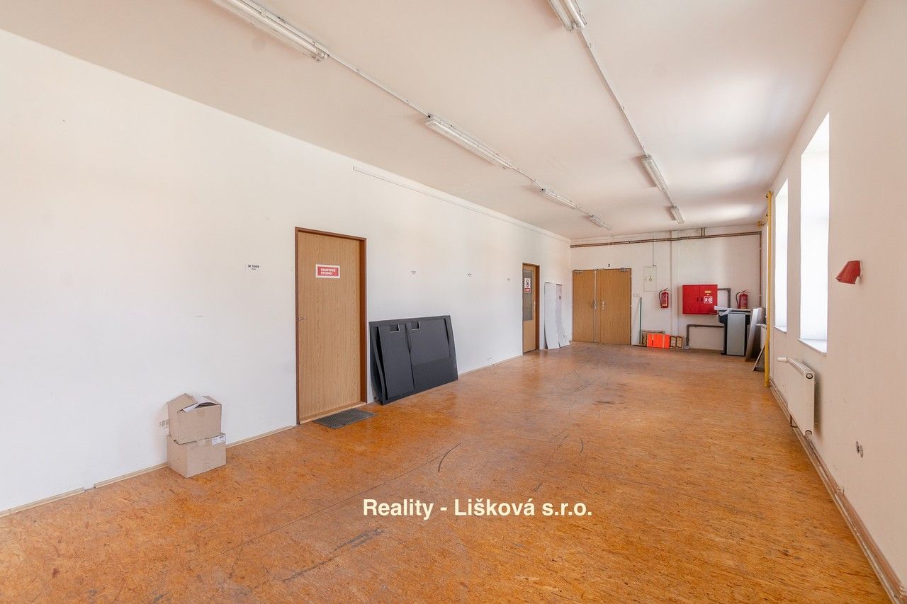 Pronájem komerčního prostoru 261 m² - foto 14