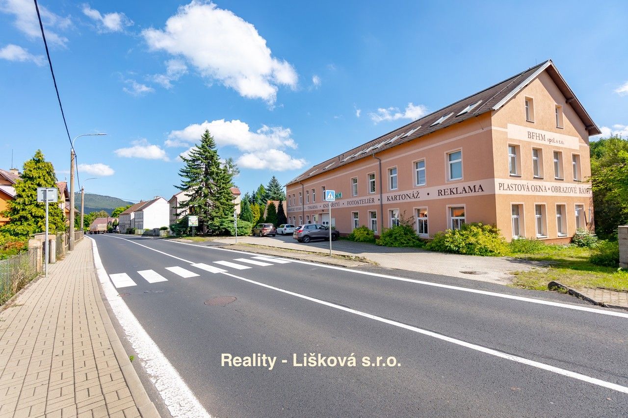 Pronájem komerčního prostoru 261 m² - foto 9