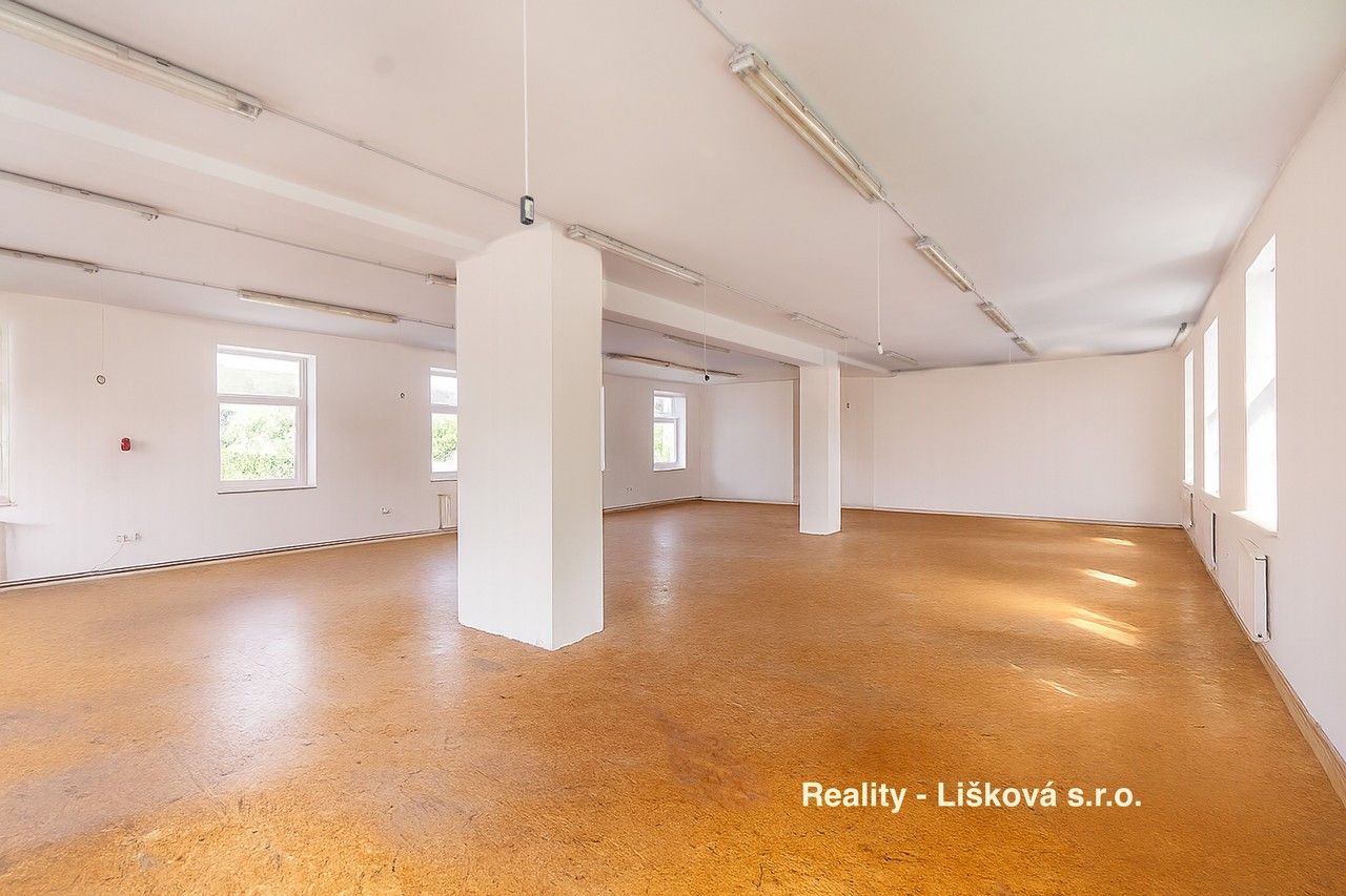 Pronájem komerčního prostoru 261 m² - foto 12