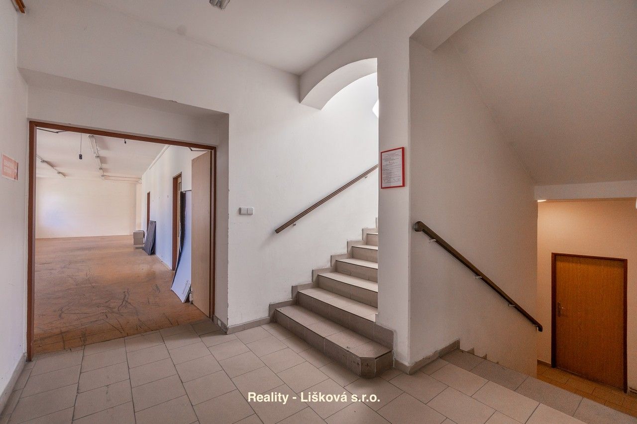 Pronájem komerčního prostoru 261 m² - foto 18