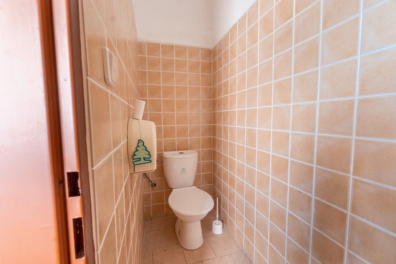 Pronájem komerčního prostoru 261 m² - foto 20