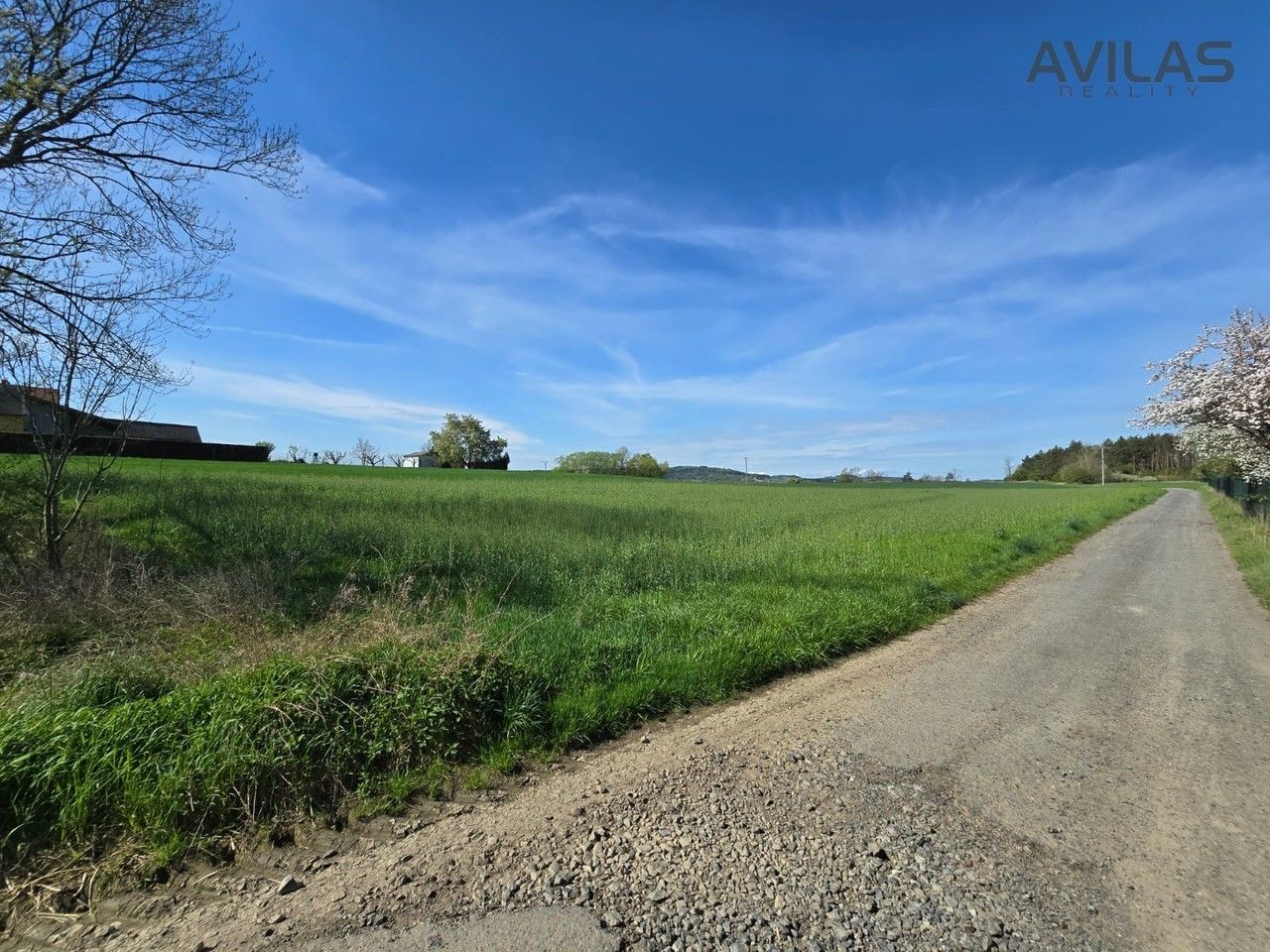 Prodej pozemku 1600 m² - foto 10