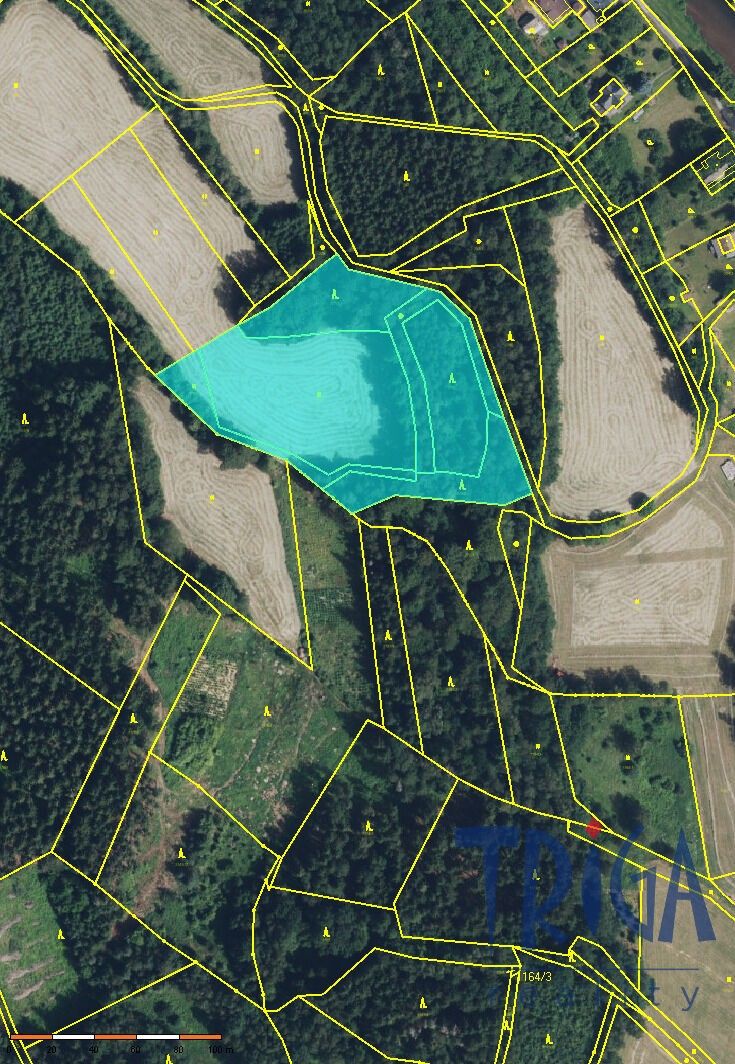 Prodej nemovitosti 13052 m² - foto 4