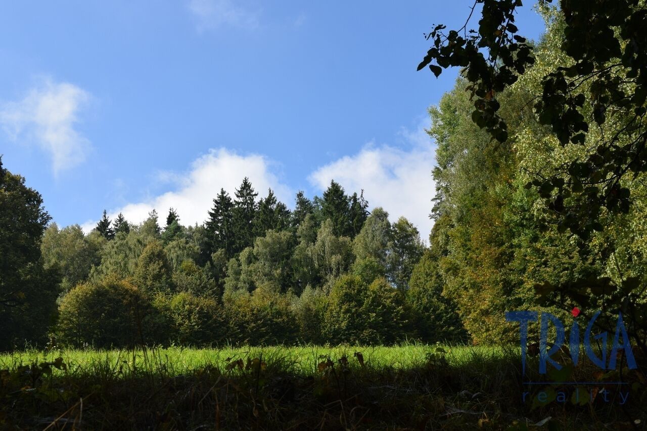 Prodej nemovitosti 13052 m² - foto 6