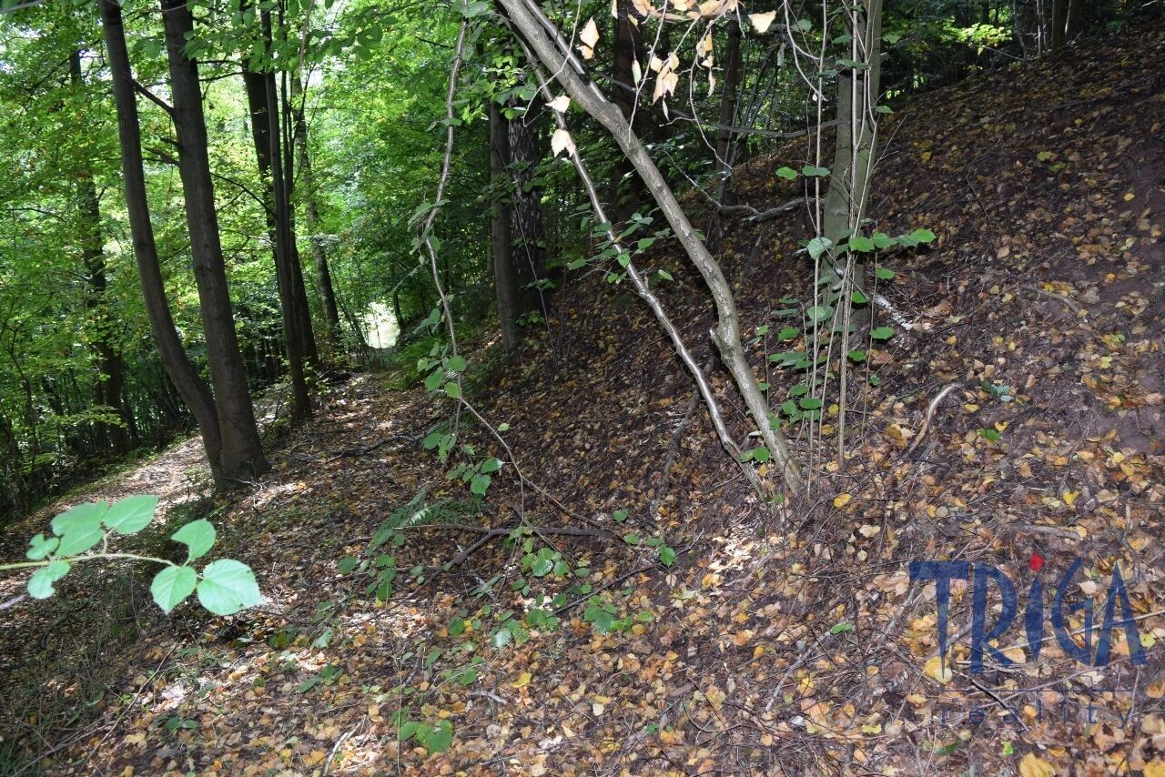 Prodej nemovitosti 13052 m² - foto 10