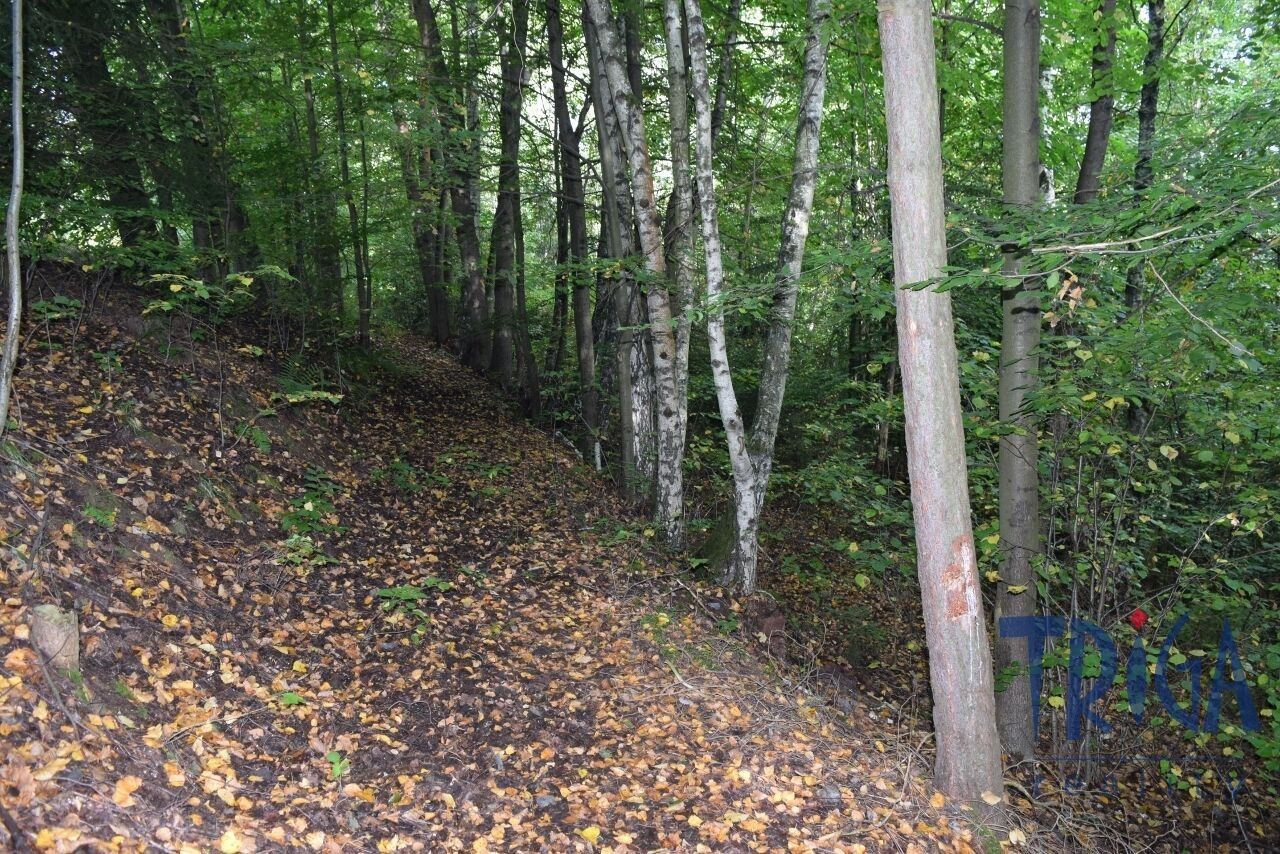 Prodej nemovitosti 13052 m² - foto 9
