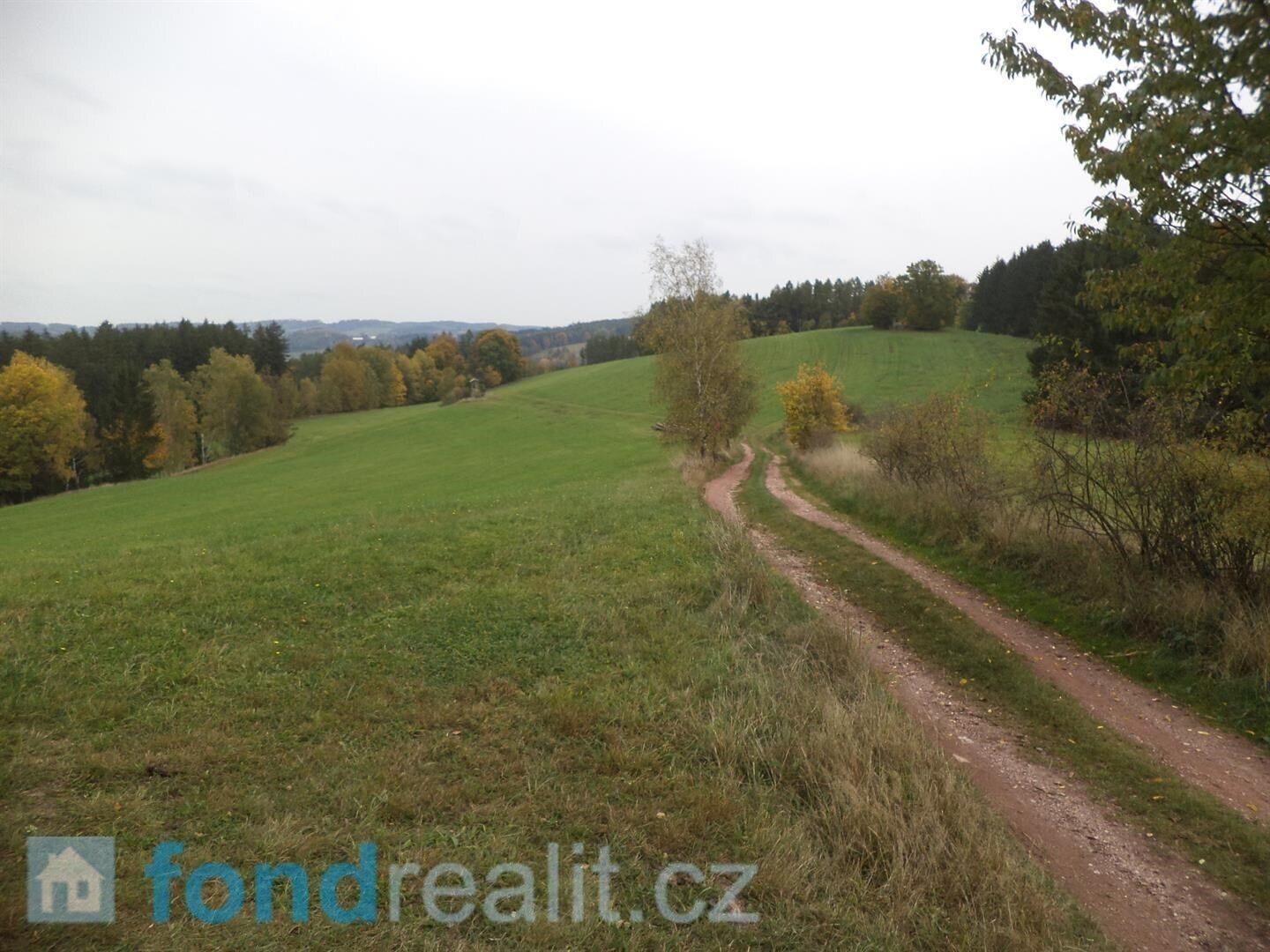 Prodej nemovitosti 2376 m² - foto 3