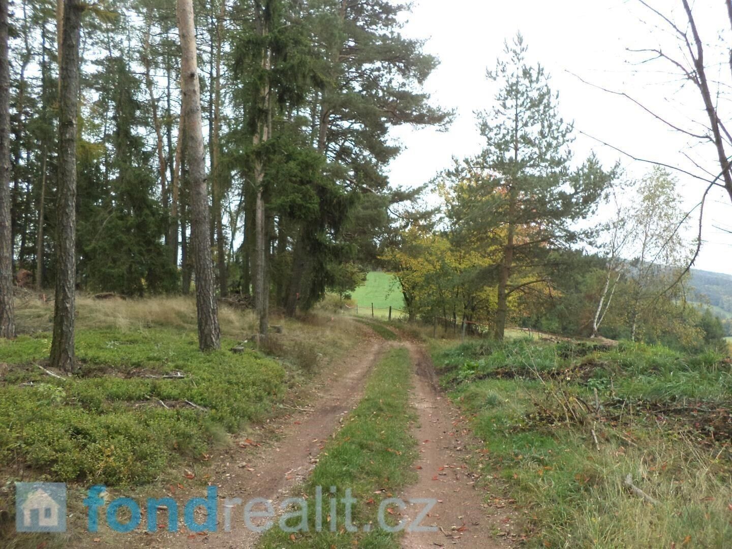 Prodej nemovitosti 2376 m² - foto 2