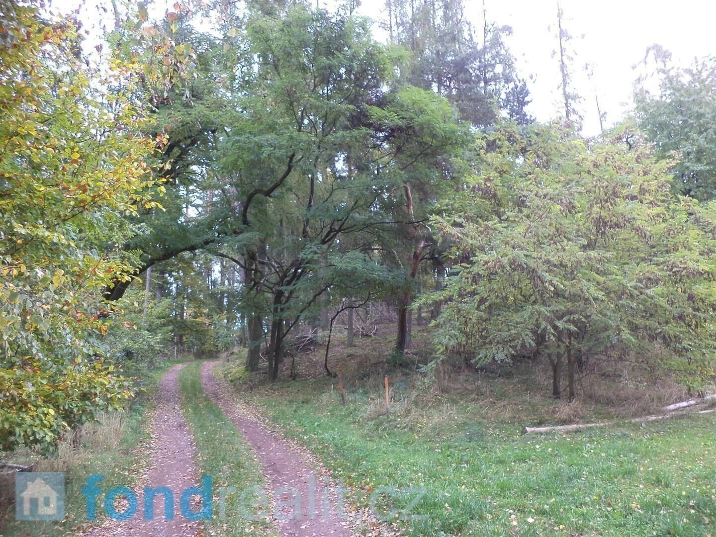 Prodej nemovitosti 2376 m² - foto 1