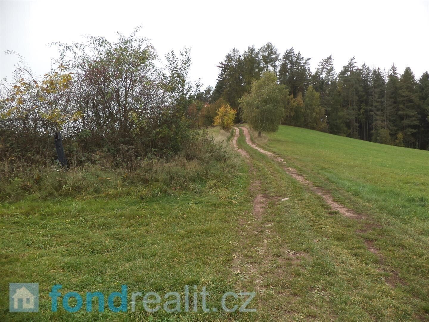 Prodej nemovitosti 2376 m² - foto 5