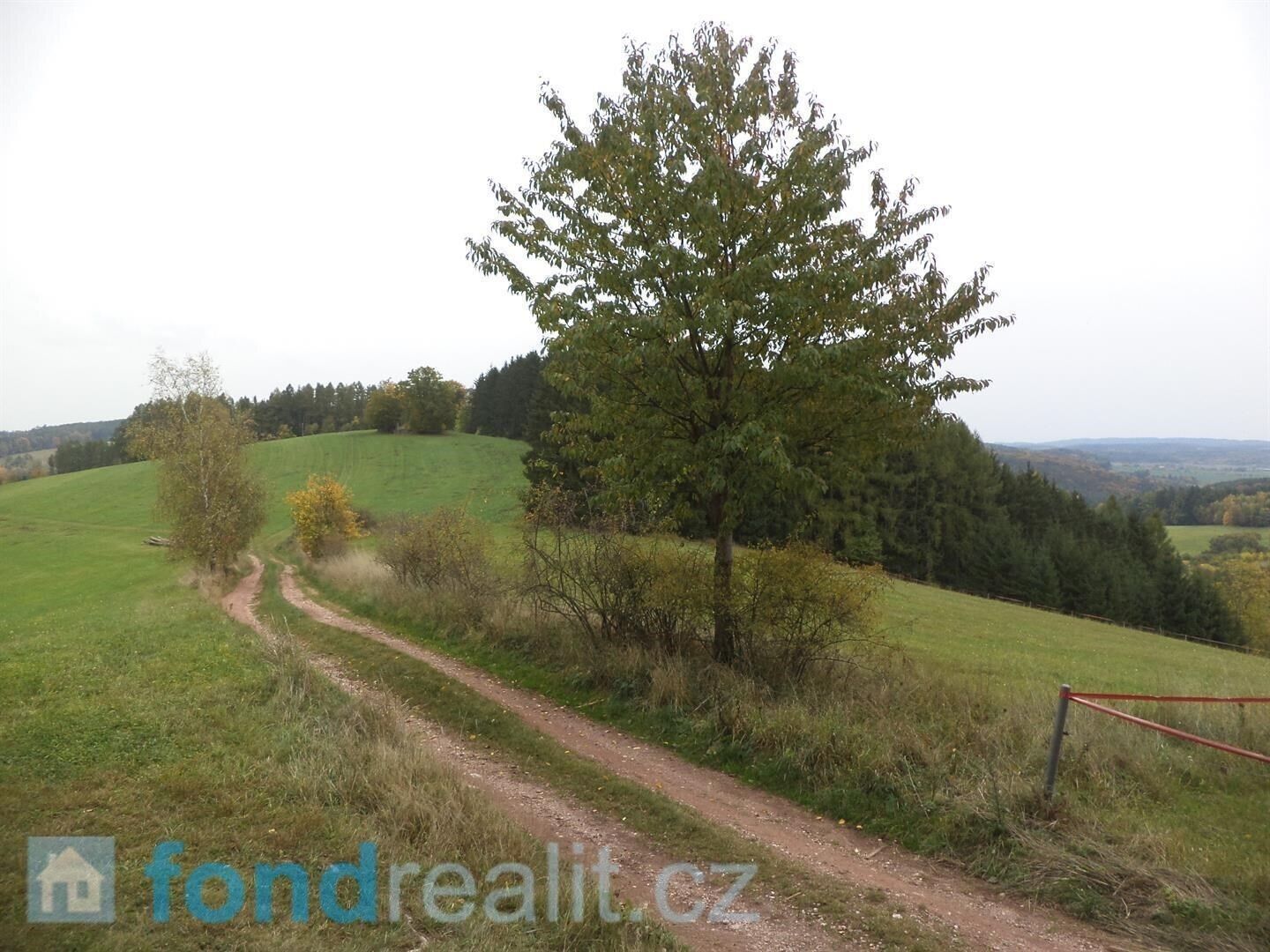 Prodej nemovitosti 2376 m² - foto 6