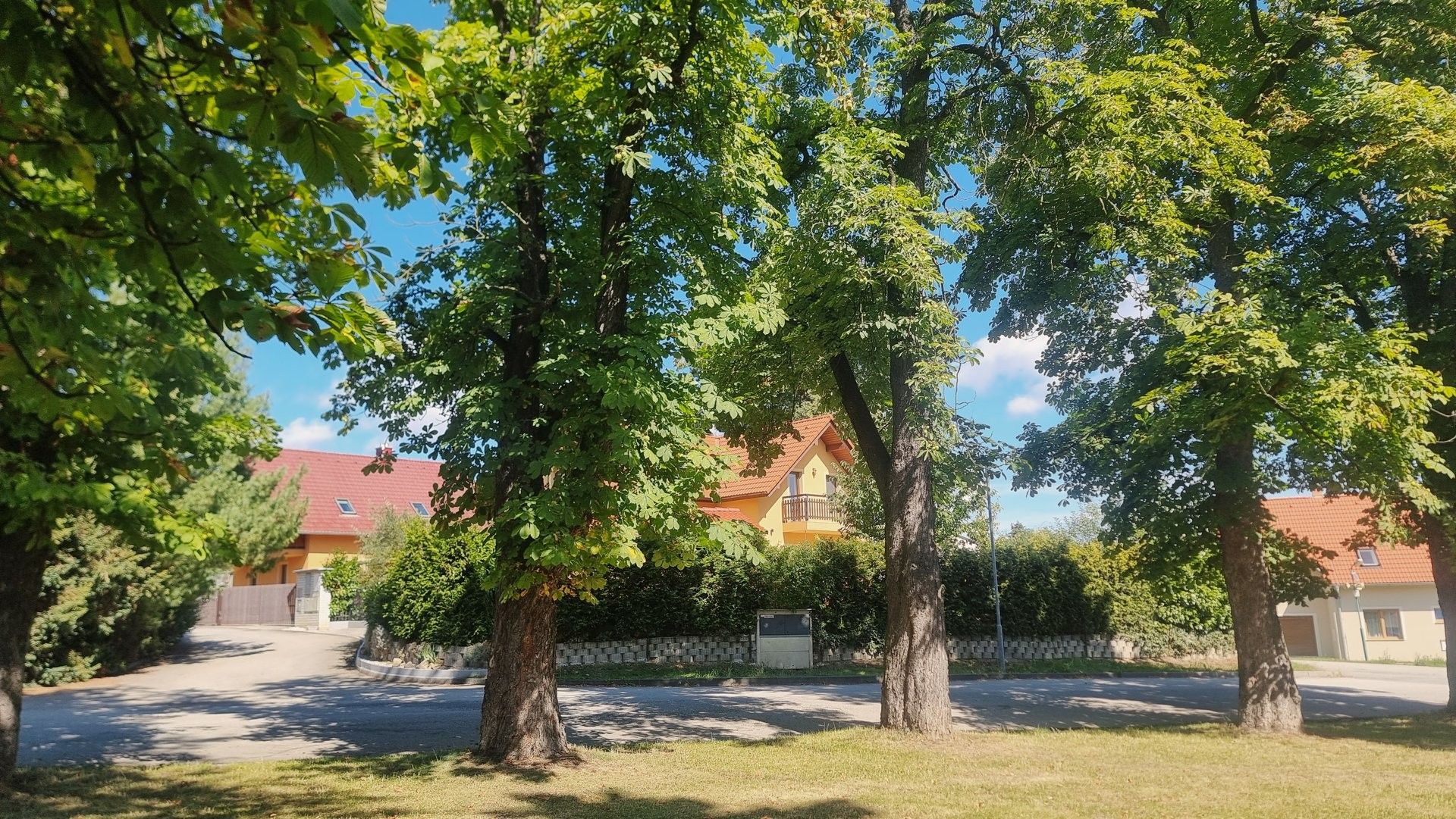 Prodej domu 250 m² - foto 5