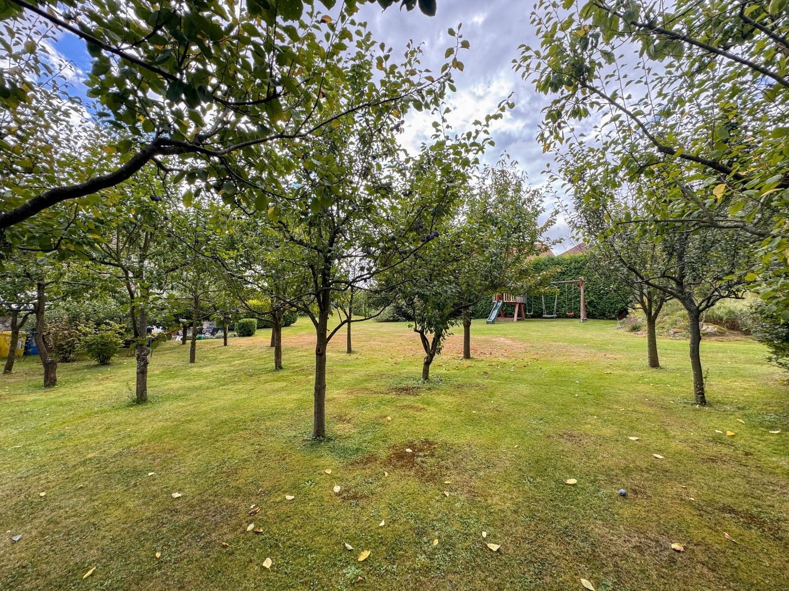 Prodej pozemku 2340 m² - foto 4