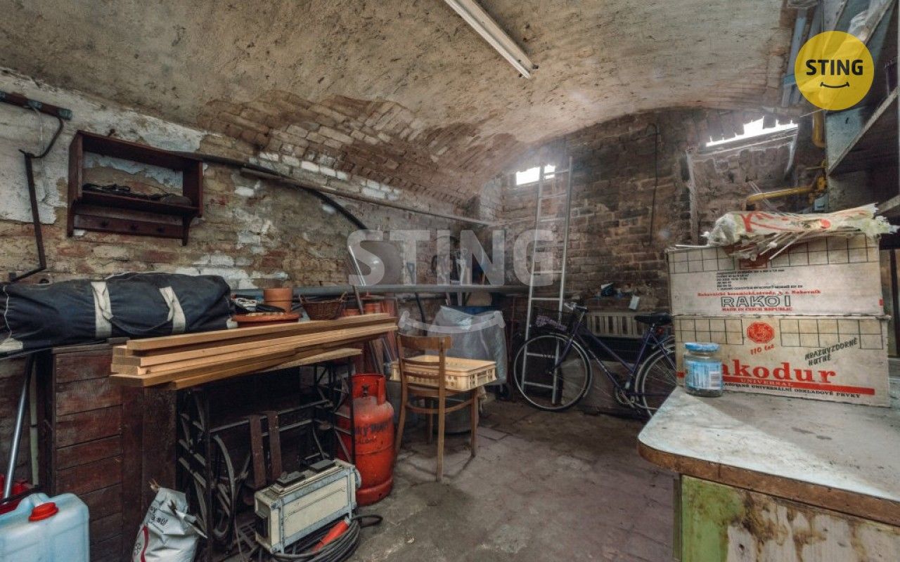 Prodej nemovitosti 300 m² - foto 38