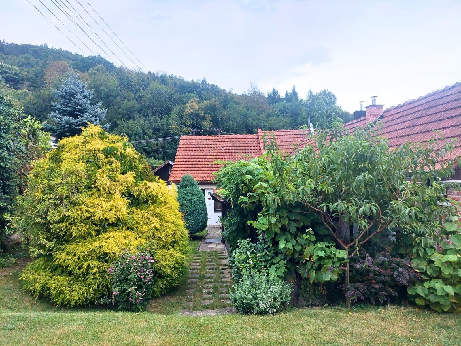 Prodej domu 50 m² - foto 17