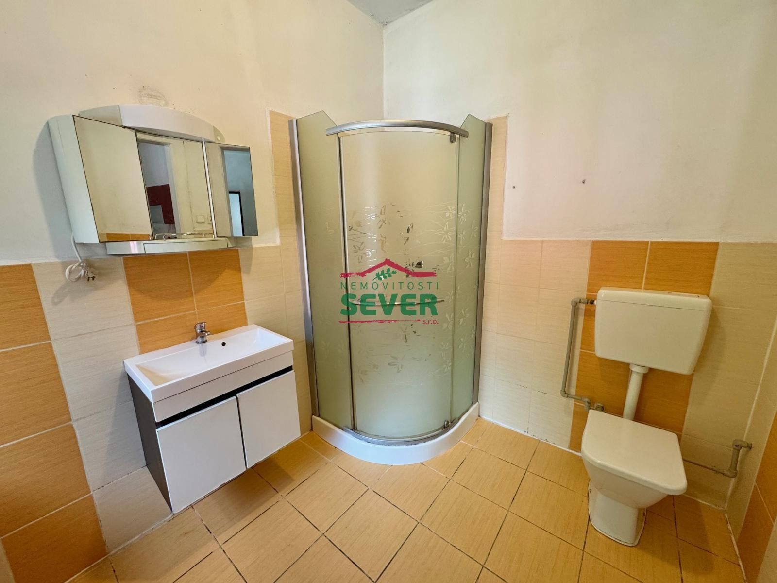 Prodej nemovitosti 450 m² - foto 19