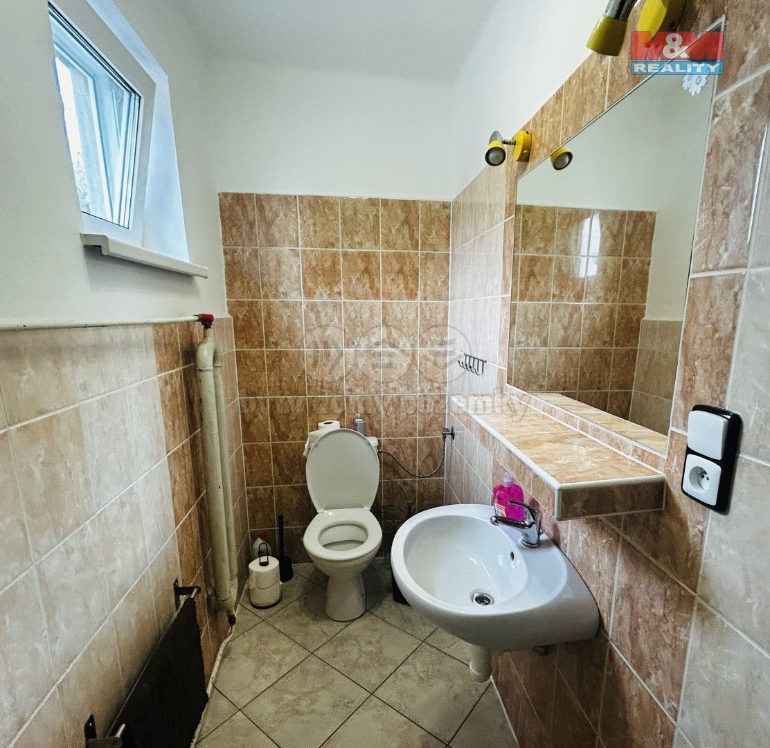 Prodej komerčního prostoru 250 m² - foto 16