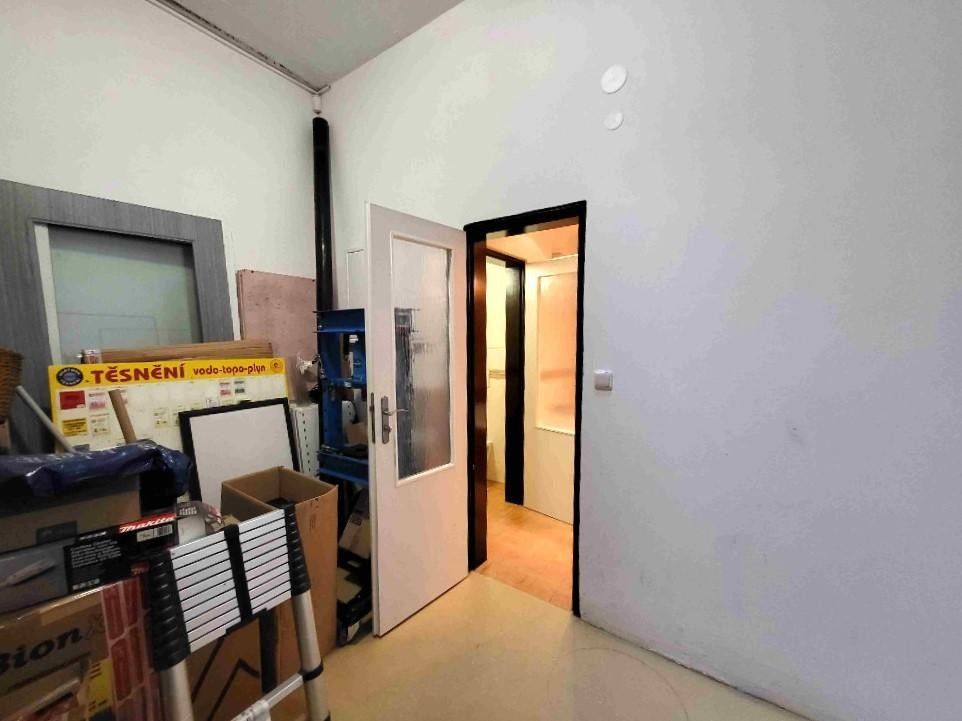 Pronájem nemovitosti 160 m² - foto 25