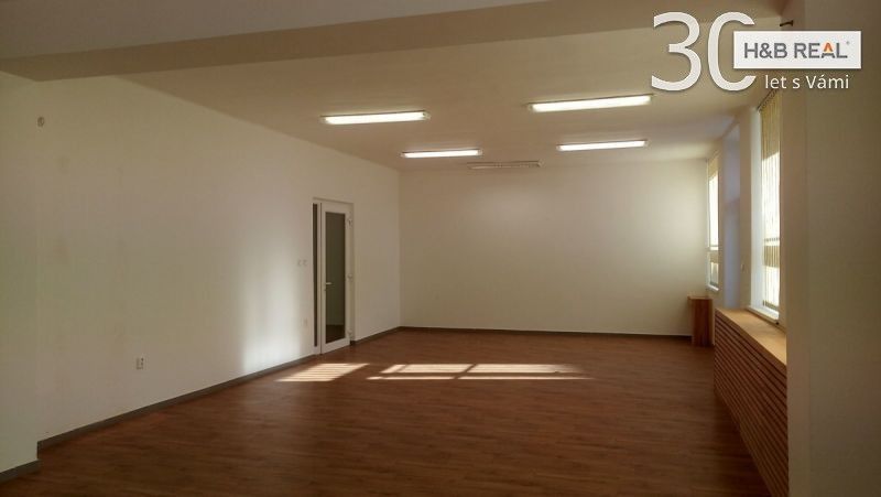 Pronájem komerčního prostoru 195 m² - foto 4