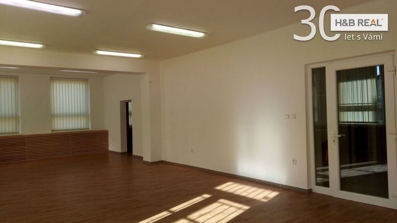Pronájem komerčního prostoru 195 m² - foto 5