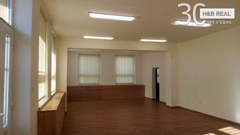 Pronájem komerčního prostoru 195 m² - foto 3