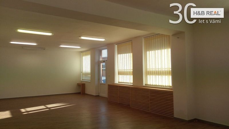 Pronájem komerčního prostoru 195 m² - foto 6