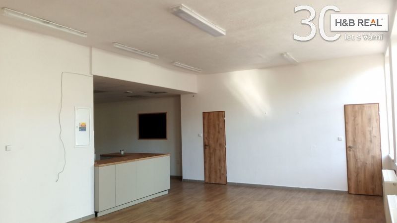 Pronájem komerčního prostoru 195 m² - foto 10