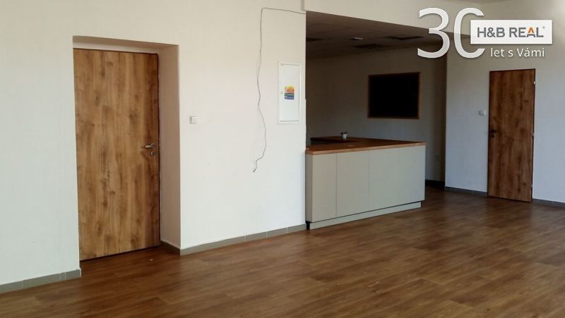 Pronájem komerčního prostoru 195 m² - foto 11