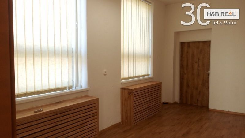 Pronájem komerčního prostoru 195 m² - foto 12
