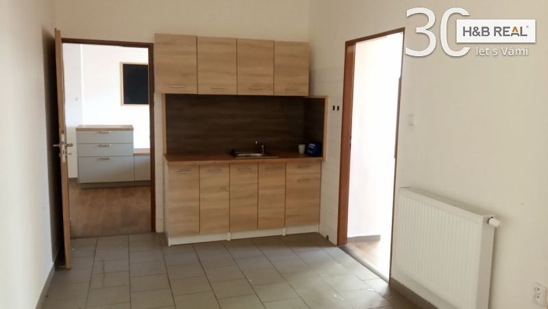 Pronájem komerčního prostoru 195 m² - foto 13