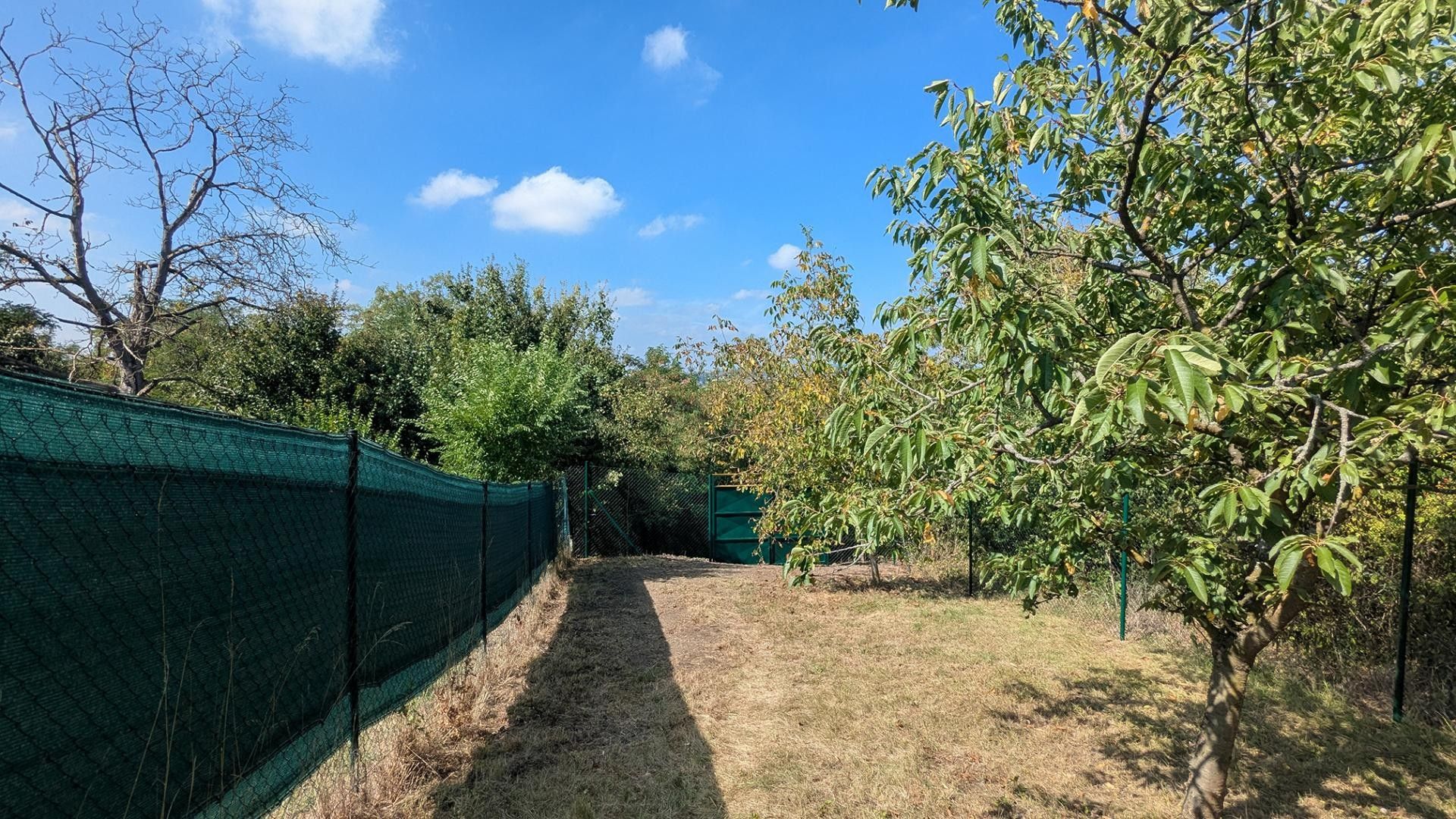 Prodej pozemku 319 m² - foto 10