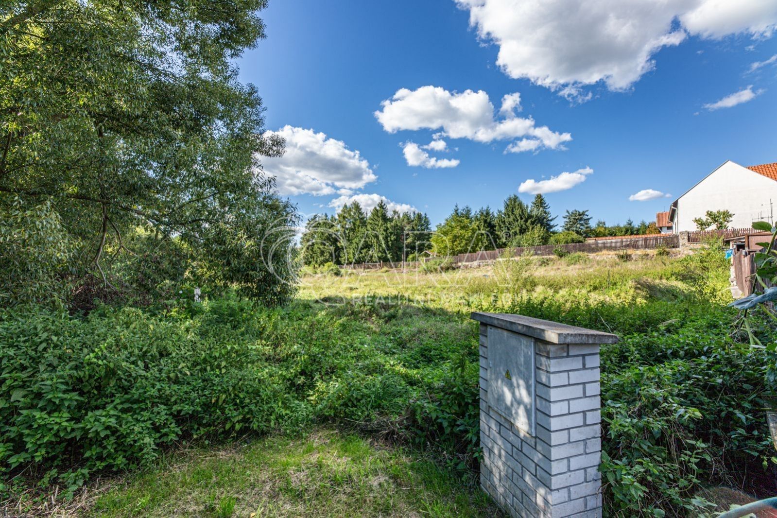 Prodej pozemku 2624 m² - foto 11