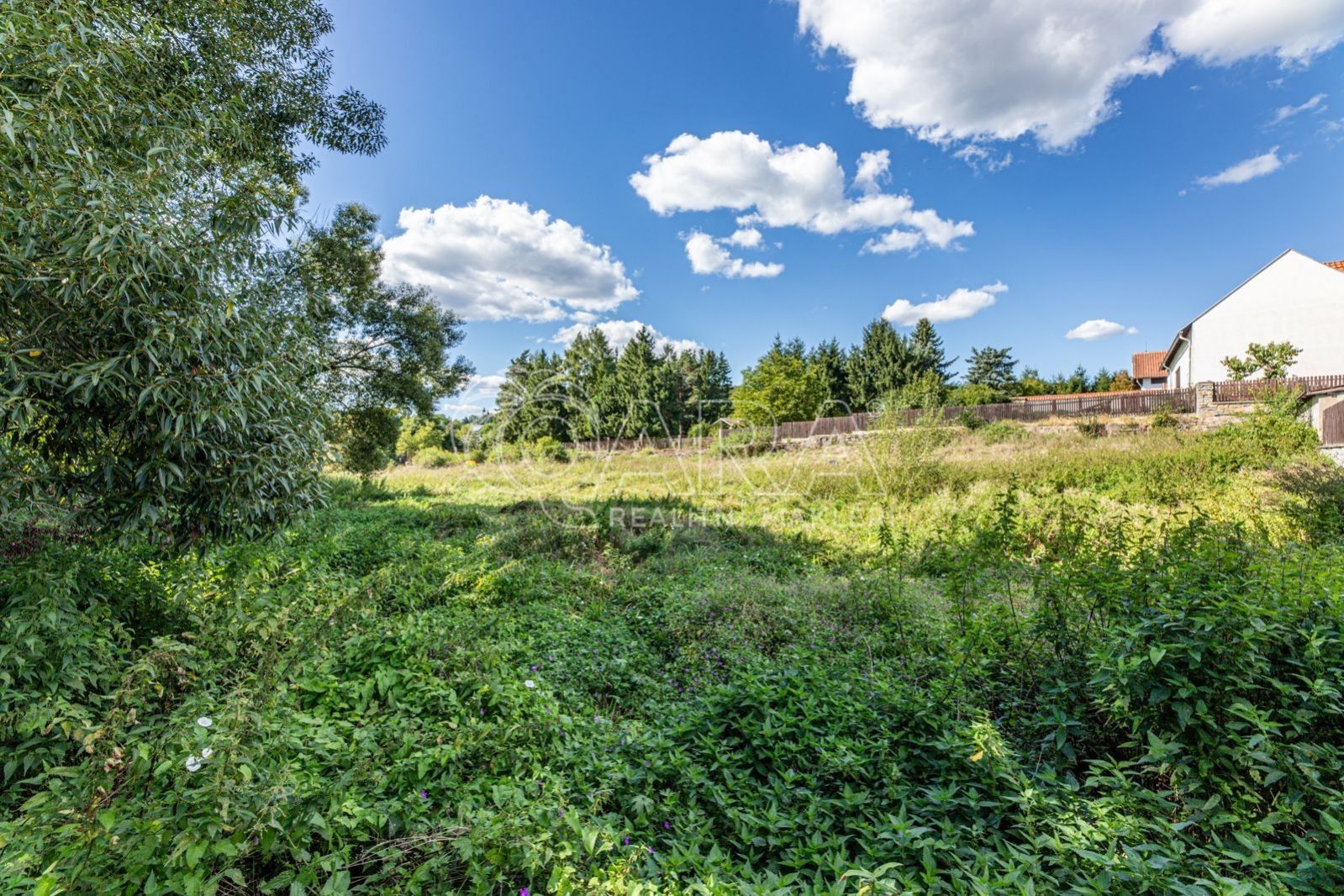 Prodej pozemku 2624 m² - foto 12