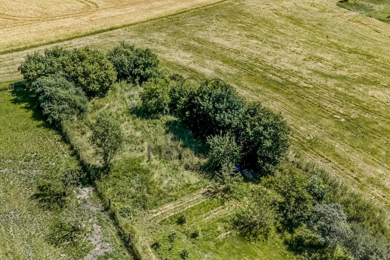 Prodej pozemku 645 m² - foto 3